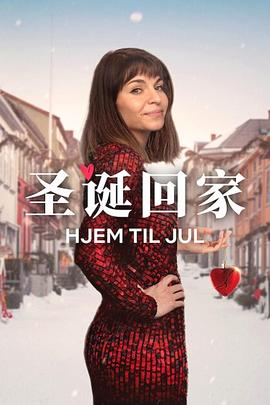 圣诞寻伴第三季(全集)